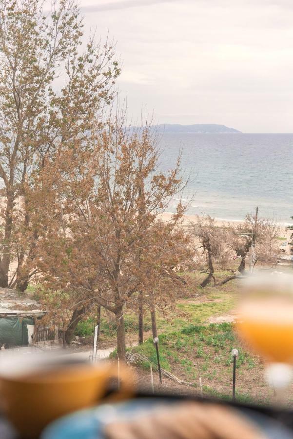 Villa Aelia Gardeno Vitaládes Dış mekan fotoğraf